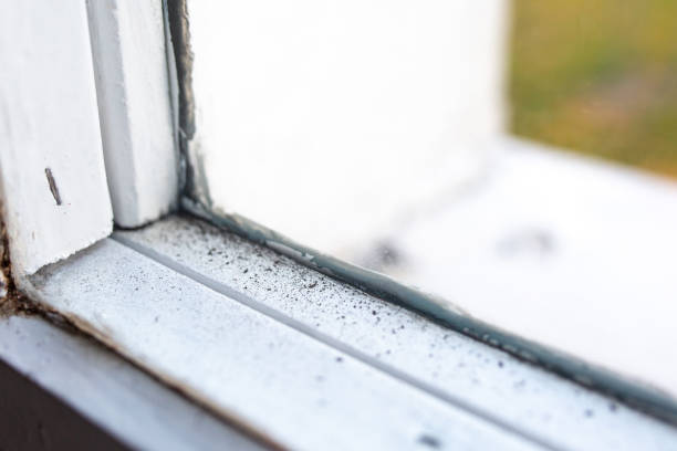 Best Asbestos and Lead Testing During Mold Inspection  in Fair Haven, NJ