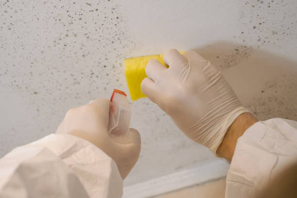 Best Residential Mold Inspection & Testing  in Fair Haven, NJ